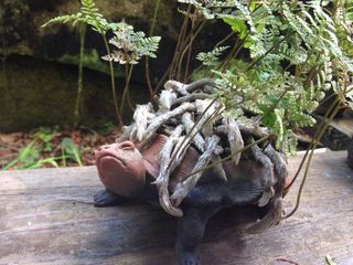 高田　藍紗